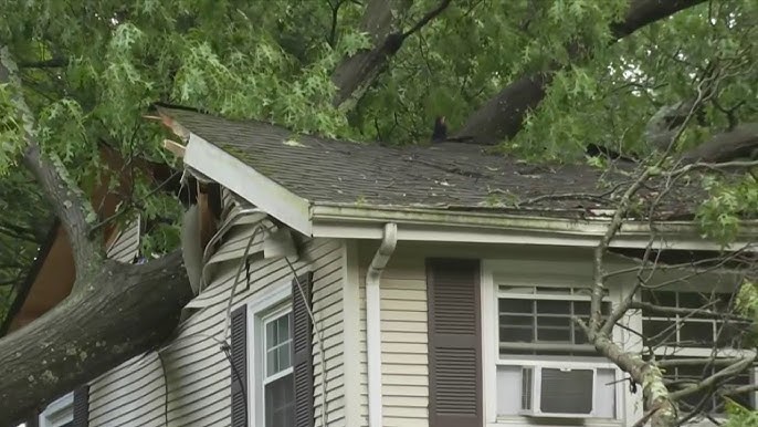 A house with a fallen tree through the roof and torn-open siding after a storm — the kind of sudden structural damage that disturbs asbestos-containing materials
