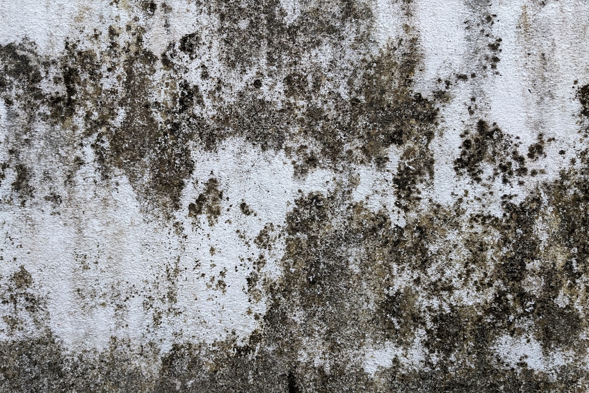 Mold growth requiring HPD assessment