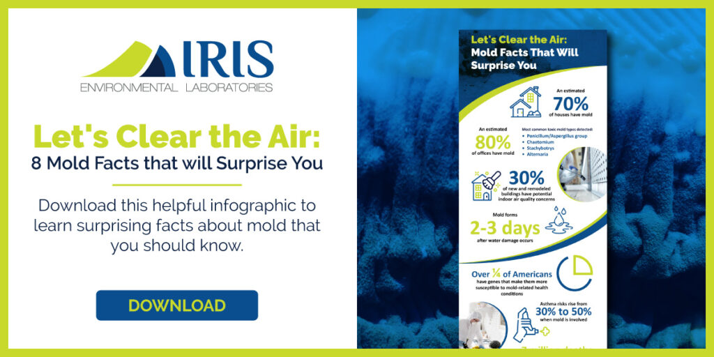 Mold facts